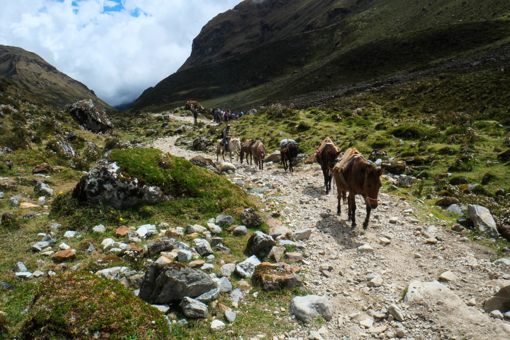 Camino Inca 