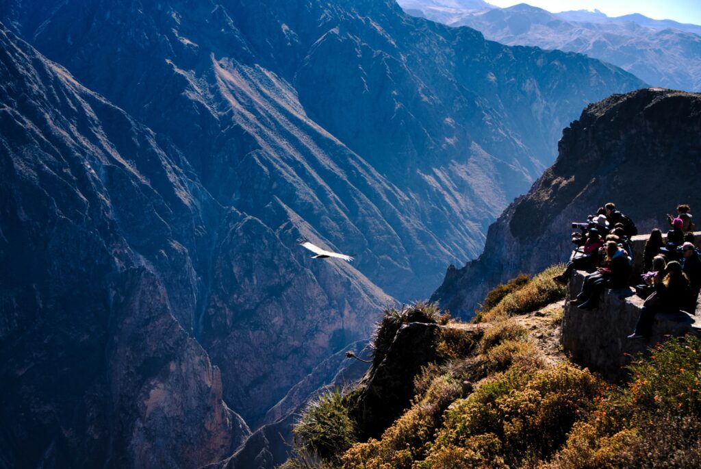 Cañón del Colca