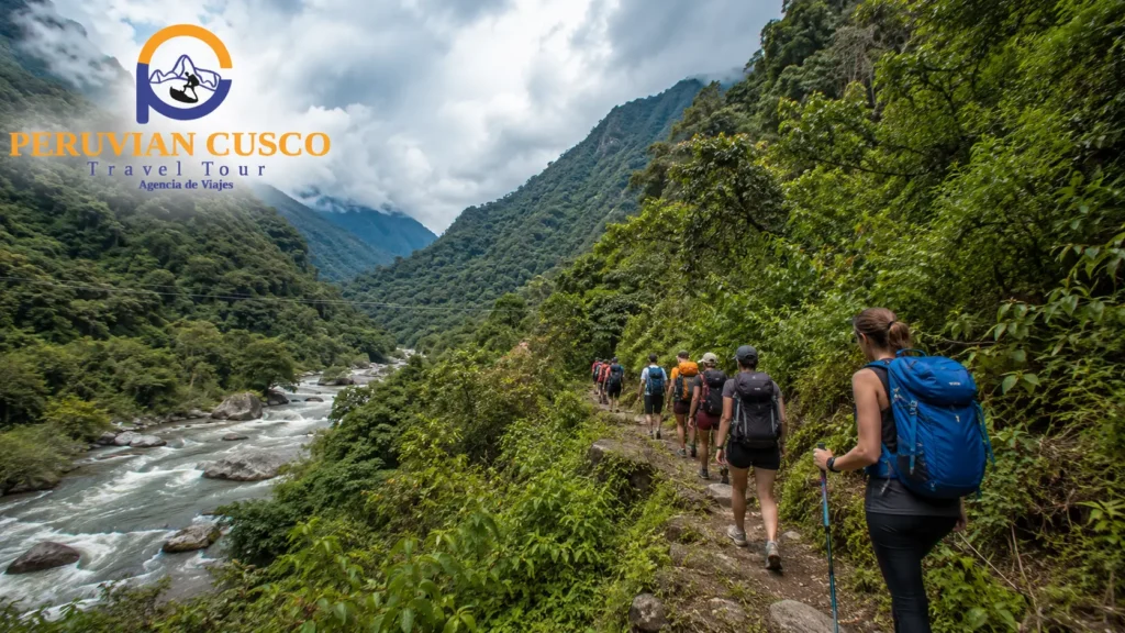 Trekkers hiking through cloud forest and coffee plantations toward Santa Teresa