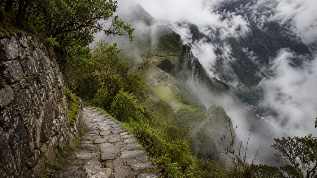 Short Inca Trail stone path — original Inca road descending through cloud forest toward Wiñayhuayna ruins