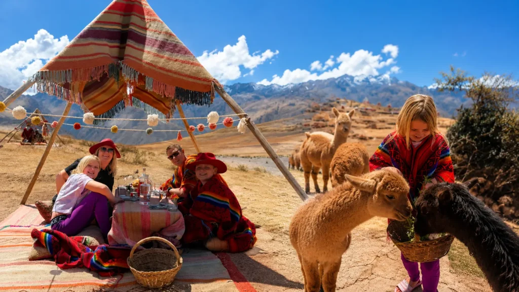 Picnic with llamas and alpacas tour Cusco — Andean landscape with traditional food basket