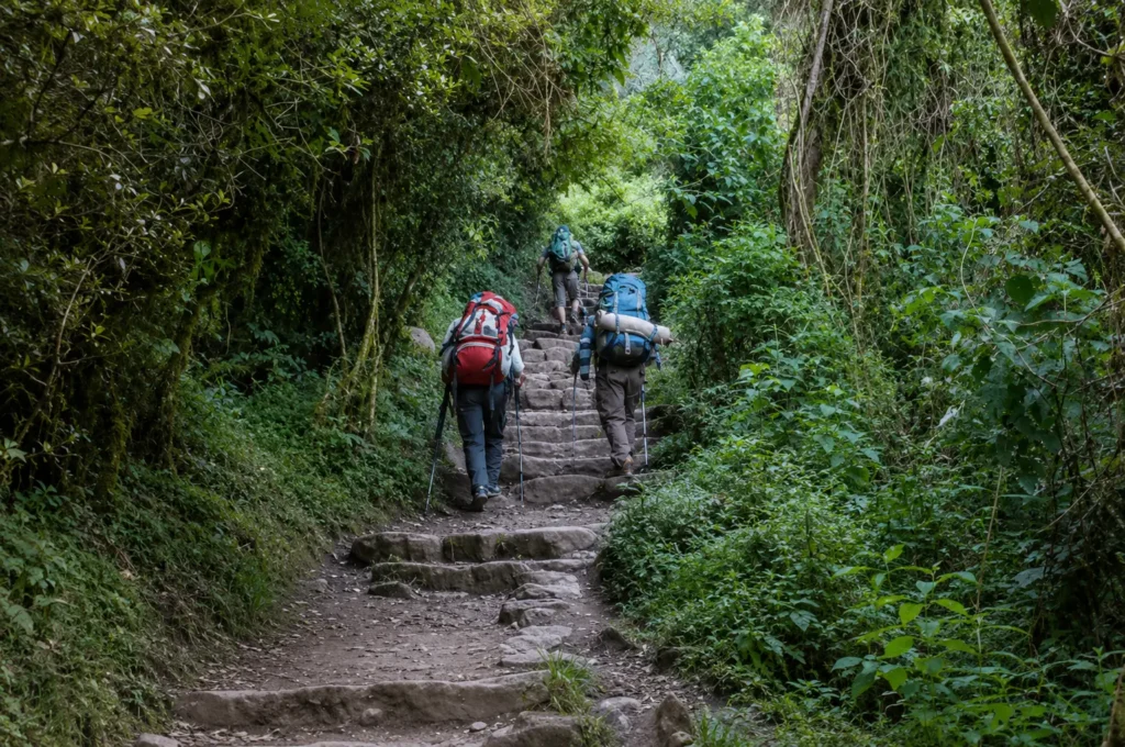 walking to Machu Picchu from Aguas Calientes — trekkers climbing stone staircase through cloud forest